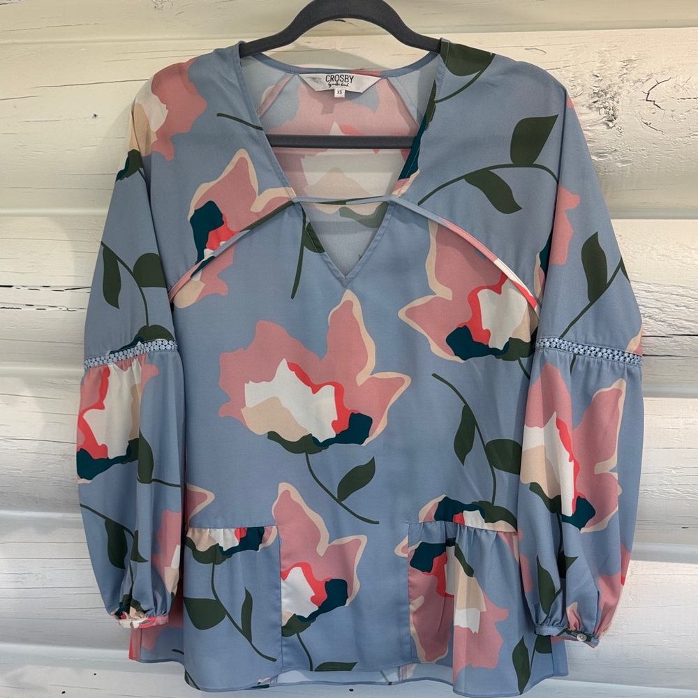 CROSBY by Mollie Burch Sky Blue Floral V-Neck Blouse with Pink and Green Accents